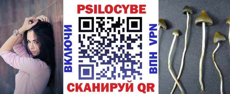 дарк нет формула  Усть-Лабинск  Галлюциногенные грибы Psilocybe 
