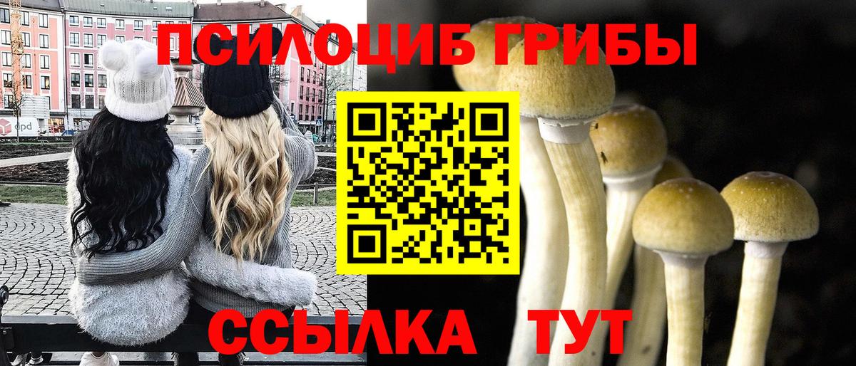 Псилоцибиновые грибы Cubensis Усть-Лабинск